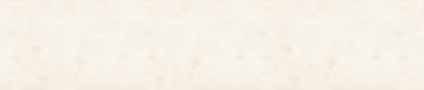 Slide background
